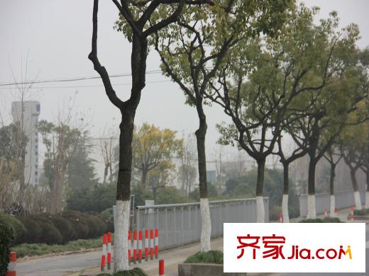 東園雅集軒周邊道路