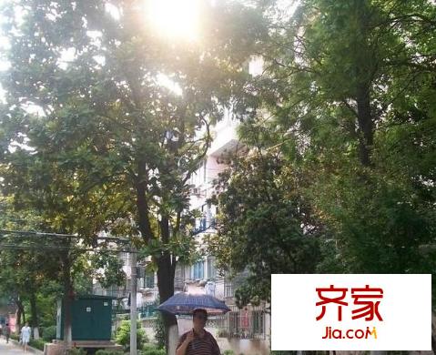 王家宅小區(qū)外景圖