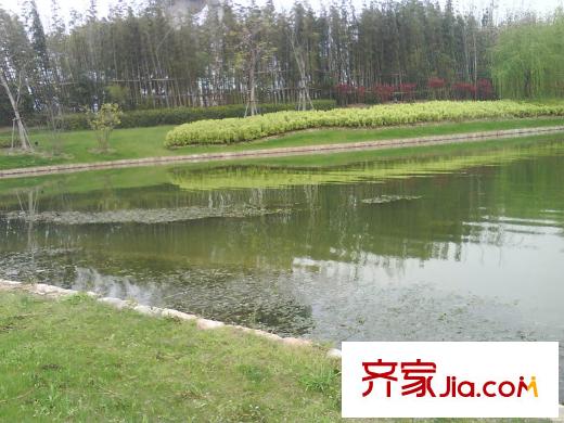 佘山珑原花海间配套图佘山国家旅游度假区
