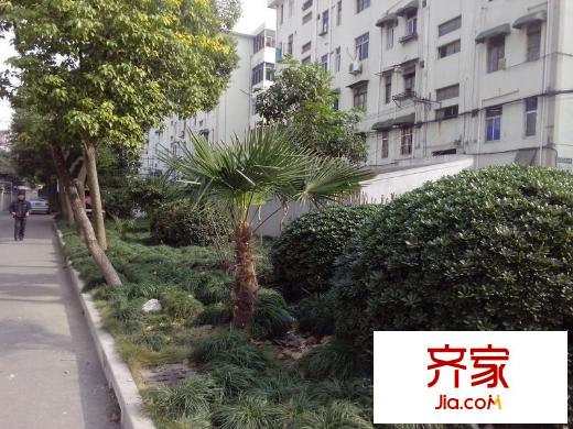 江川一村外景图