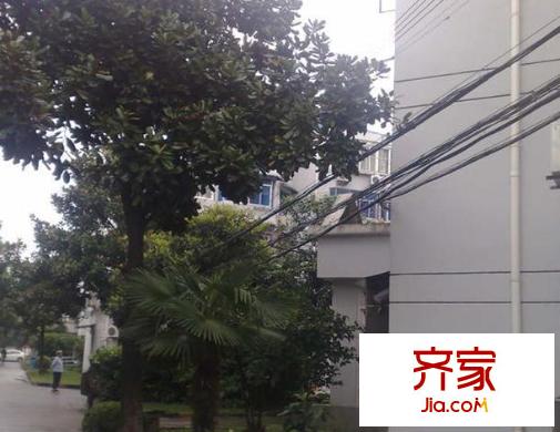 壽光小區(qū)外景圖