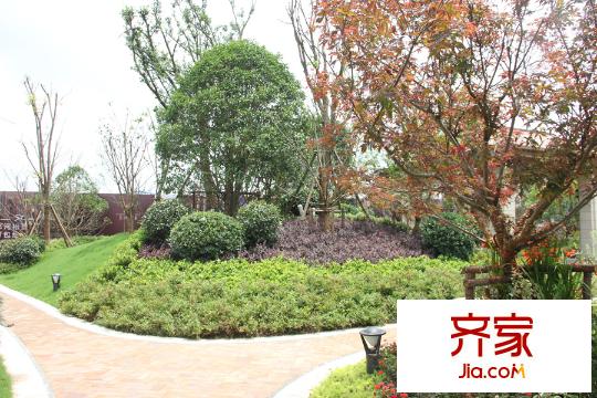 同濟(jì)東時(shí)區(qū)