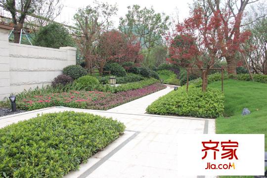 同濟東時區(qū)綠化（2015.7）