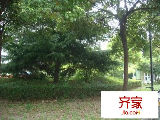 中江小区外景图