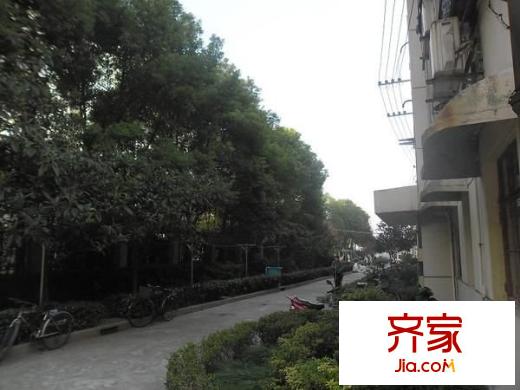 金橋路530弄小區(qū)外景圖金橋路530弄 