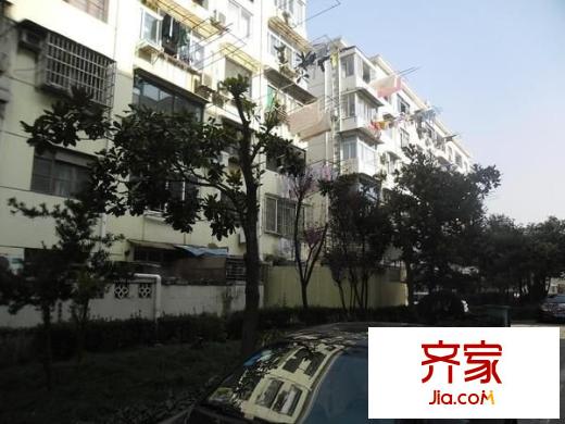 金橋路530弄小區(qū)外景圖金橋路530弄 