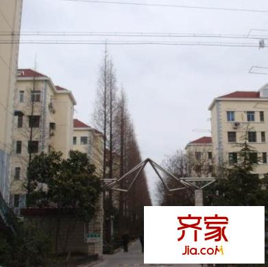 濟陽新村外景圖