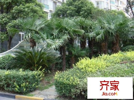 天科苑外景圖