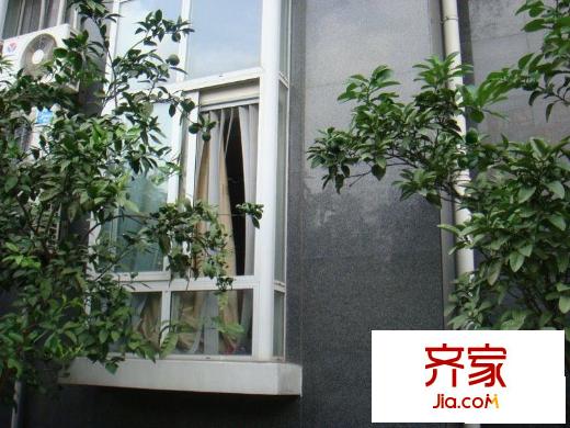 天科苑外景圖