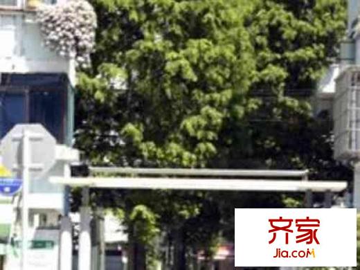 沈家弄路946弄小區(qū)外景圖沈家弄路946弄