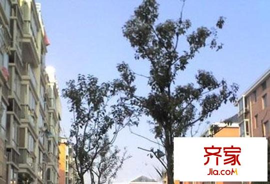 龍澤家園