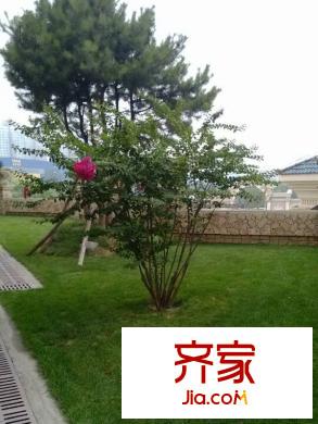 顺景石上清泉园林2013.09