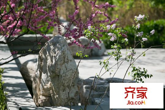 紫辰院园林2015.4