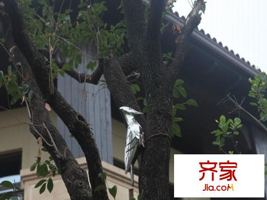 中海・红杉溪谷小区内2011.08