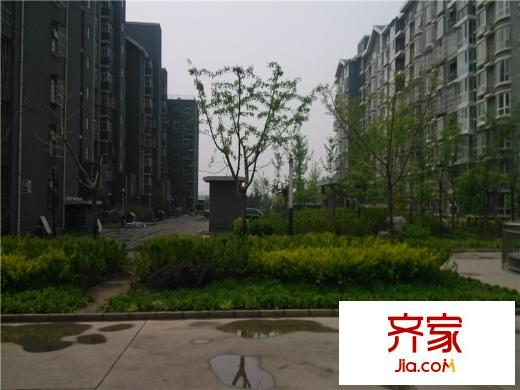 京洲世家小区2014.04