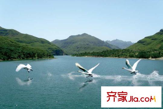 华银・天鹅湖周边配套-湖面