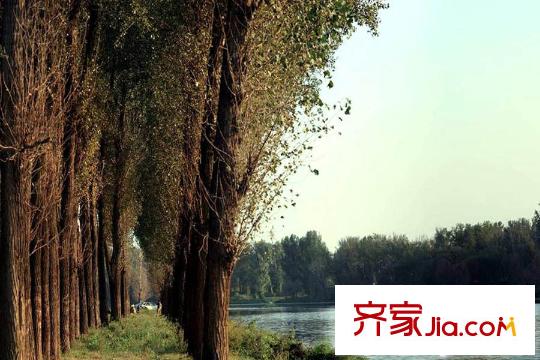 金科王府澜庭周边