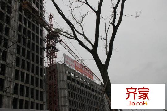 寧興嘉利玫瑰園工程進度20150326