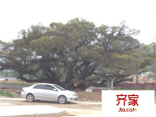 萬潤溫泉會館項目邊上環(huán)境