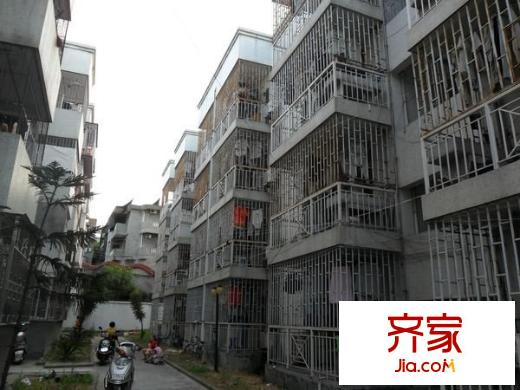 吉山新村外景圖 