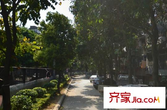 黎明新村玫瑰園配套圖周邊配套 街道