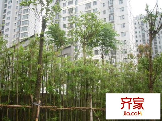 福建聯(lián)通花園外景圖 