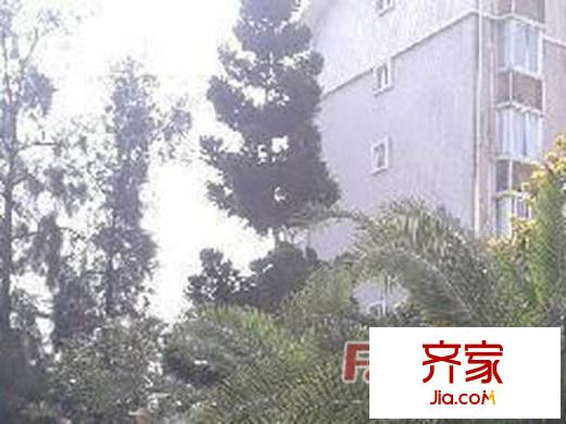 福江苑對(duì)面部隊(duì)宿舍外景圖 