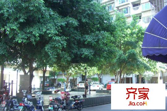 光明港新村外景圖 