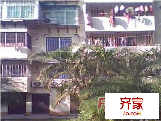 鳳坂新村外景圖 
