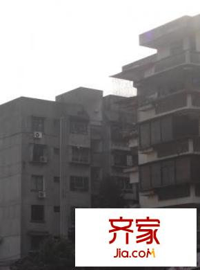 鳳坂新村外景圖 