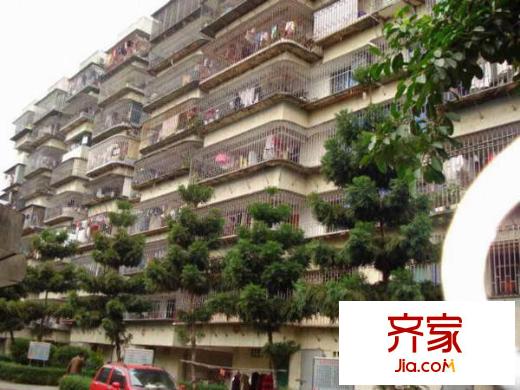 倉山鎮(zhèn)政府宿舍外景圖 