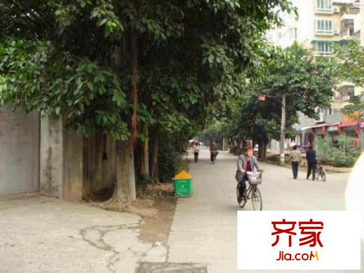 倉山鎮(zhèn)政府宿舍外景圖 