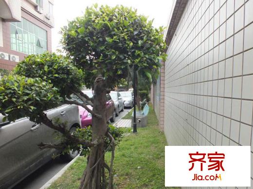 澳門公寓外景圖 