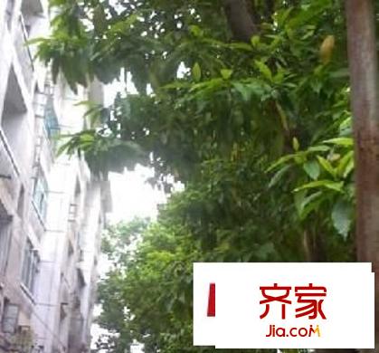 幼師單位宿舍外景圖 