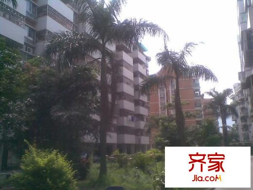 石鼓觀鰲遠(yuǎn)西小區(qū)外景圖 