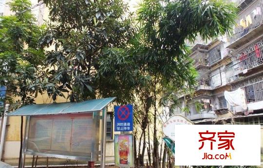 鐵二小區(qū)外景圖 
