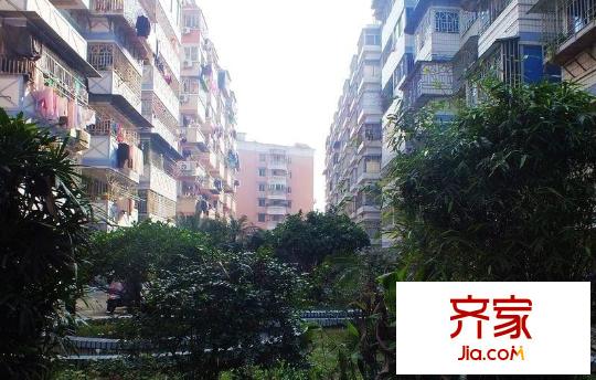 鑫亭新苑外景圖 