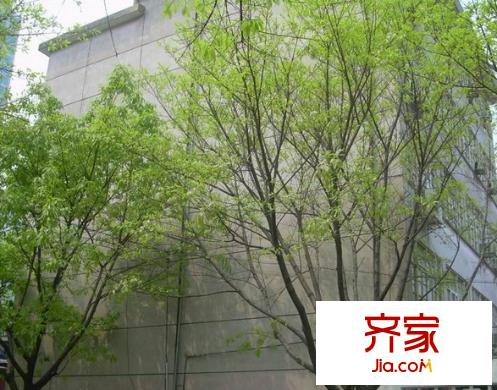 省立醫(yī)院宿舍外景圖 