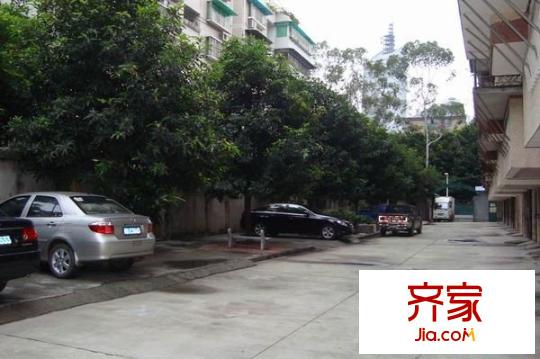 省建材茶園路單位宿舍
