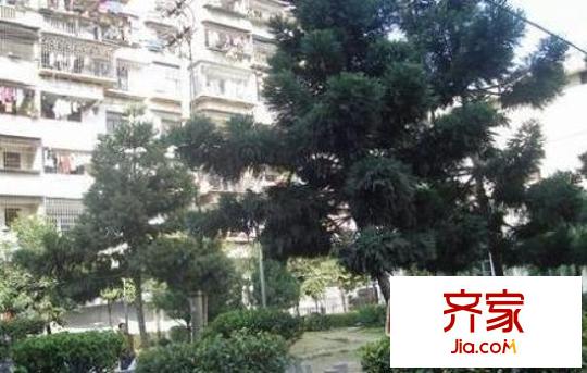 市運(yùn)輸公司官前路單位宿舍外景圖 