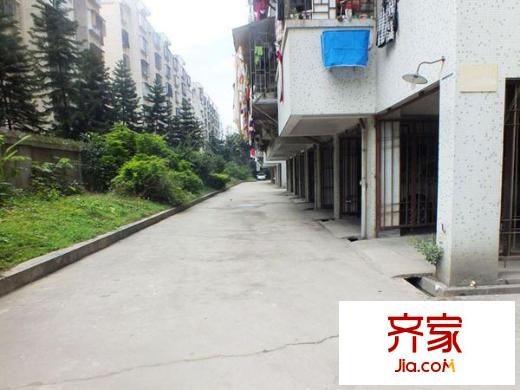 雙福新村外景圖 