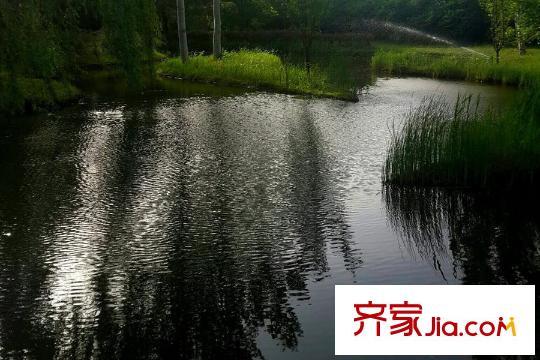 易郡周边配套-公园
