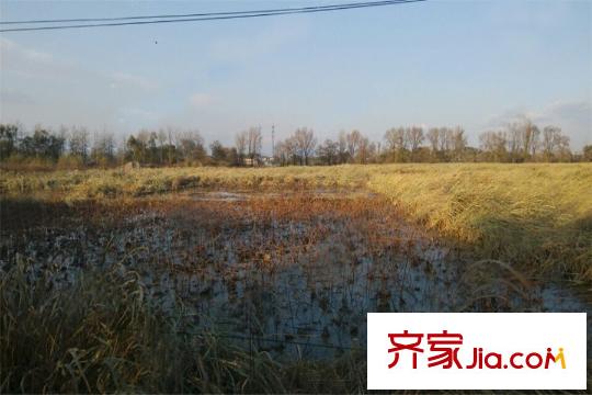 东洲家园周边配套-公园