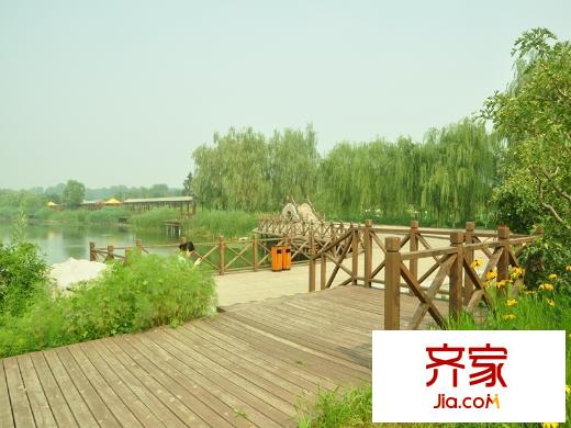 金湖溫泉別墅園林2014-8