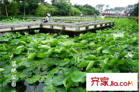 燕都新天地周边配套:湿地公园-2015.10.24