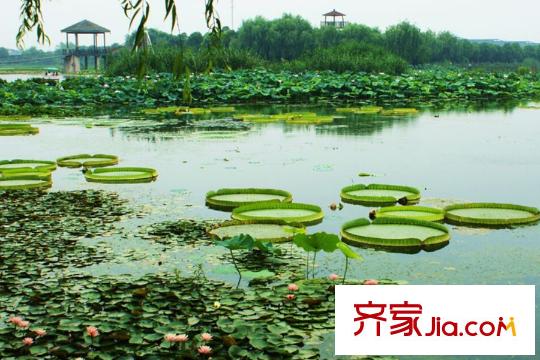 燕都新天地周边配套:湿地公园-2015.10.24