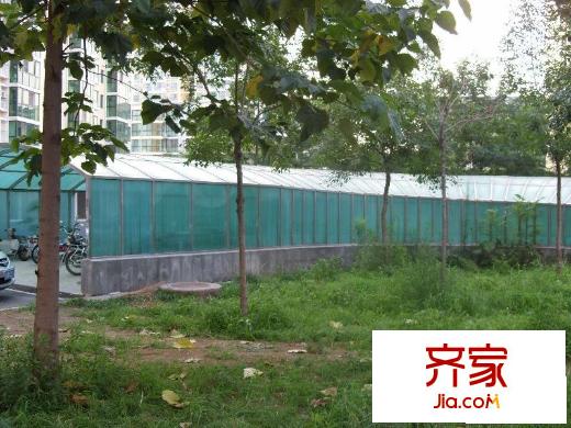 新华街三里外景图