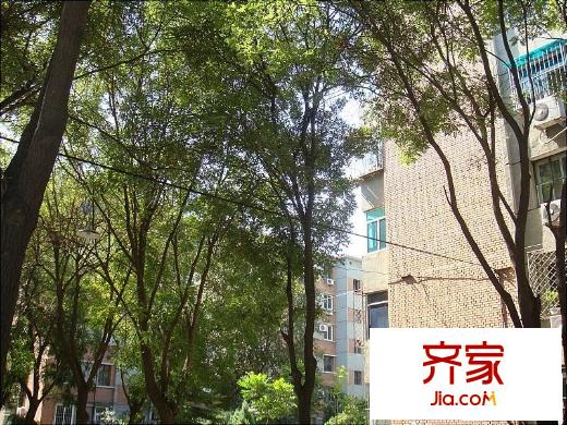团河苑小区外景图楼盘图