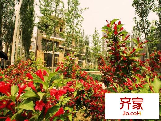 天恒乐活城别墅实景图小区2012.11