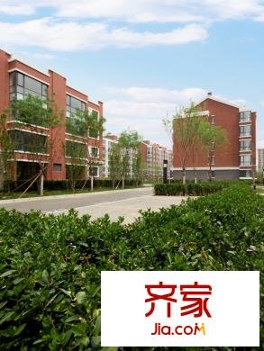 天恒乐活城别墅实景图小区2013.4